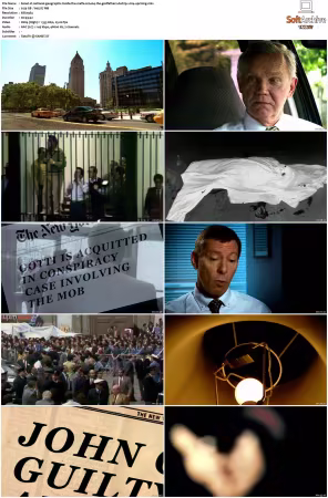 National Geographic Inside The Mafia S02 DVDRIP X264-UPRiSiNG