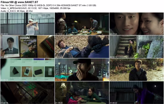 No Other Choice 2025 1080p IQ WEB-DL DDP2.0 H264-HDSWEB