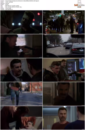 Chicago P D S13 1080p WEBRip 10Bit DDP5.1 HEVC-d3g