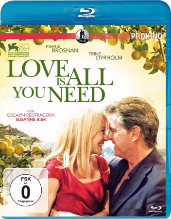 Love Is All You Need 2012 BDRip x264-RedBlade