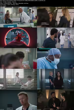 Greys Anatomy S22E17 Through the Fire 1080p AMZN WEB-DL DDP5 1 H264-NTb