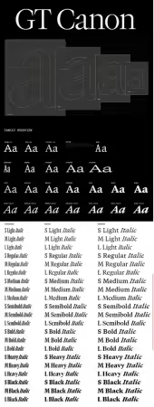GT Canon - New! 2026's Biggest 224 Styles Font Family $1512