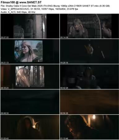 Shelby Oaks Il Covo Del Male 2025 iTA-ENG Bluray 1080p x264-CYBER