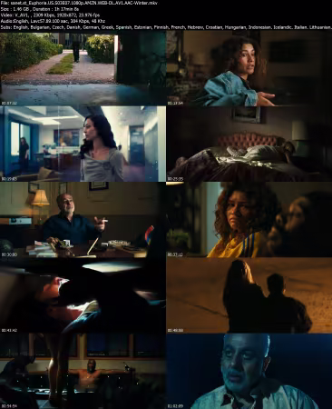 Euphoria US S03E07 1080p AMZN WEB-DL AV1 AAC-Winter