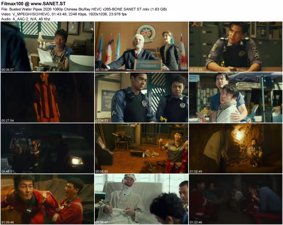 Busted Water Pipes 2026 1080p Chinese BluRay HEVC x265-BONE