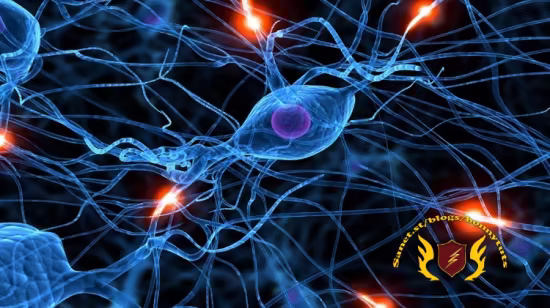 Deep Learning Prerequisites: Logistic Regression in Python