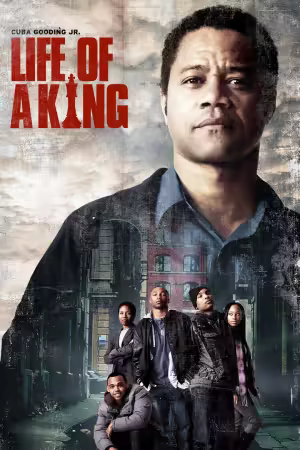 Life of a King 2013 1080p ROKU WEB-DL DD 5.1 H264-PiRaTeS