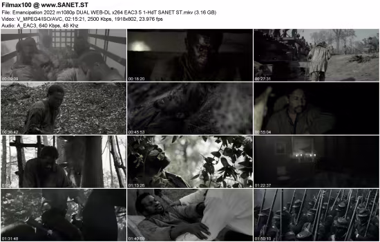 Emancipation 2022 m1080p DUAL WEB-DL x264 EAC3 5.1-HdT