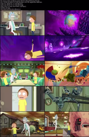 Rick and Morty S09E01 MULTi 1080p WEB H264-FW