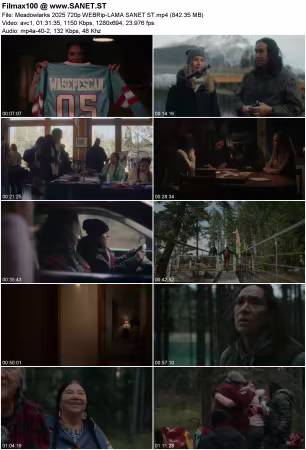 Meadowlarks 2025 720p WEBRip-LAMA