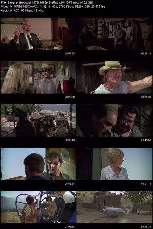 Breakout 1975 1080p BluRay x264-OFT