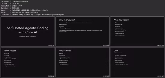 Self-Hosted Agentic Coding With Cline Ai Cli And Extension