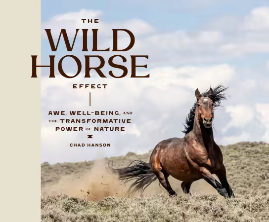 The Wild Horse Effect: Awe, Well-Being, and the Transformative Power of Nature