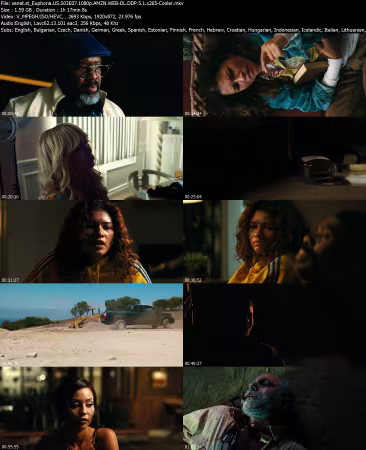 Euphoria US S03E07 1080p AMZN WEB-DL DDP 5 1 x265-Cooler