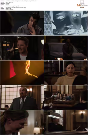 Law and Order SVU S27 1080p 10bit WEBRip 6CH x265 HEVC-PSA