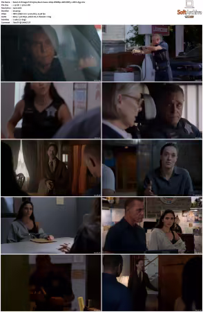 Chicago P D S13 1080p WEBRip 10Bit DDP5.1 HEVC-d3g