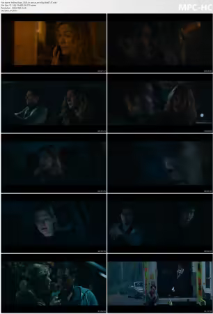 Hallow Road 2025 1080p BluRay REMUX Dts-HDMa5.1 AVC-d3g