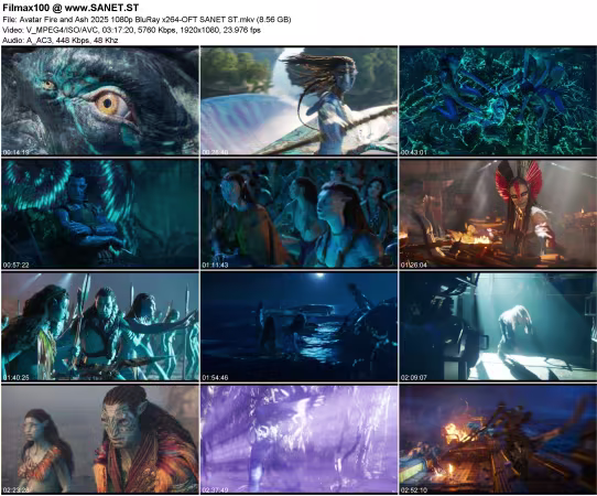 Avatar Fire and Ash 2025 1080p BluRay x264-OFT