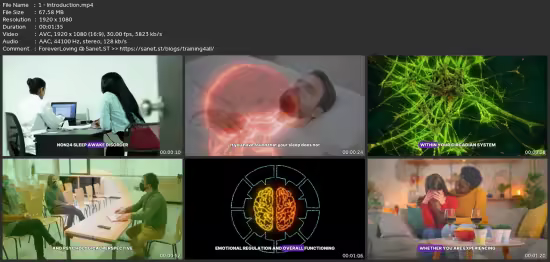 Sighted Non-24 Sleep–Awake Disorder