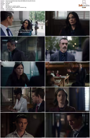 Law and Order S25 1080p 10bit WEBRip 6CH x265 HEVC-PSA