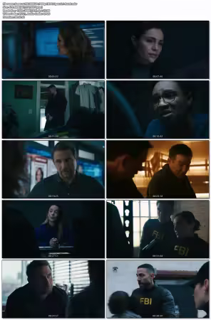 FBI S08E20 1080p HEVC Opus 5.1-Retr0