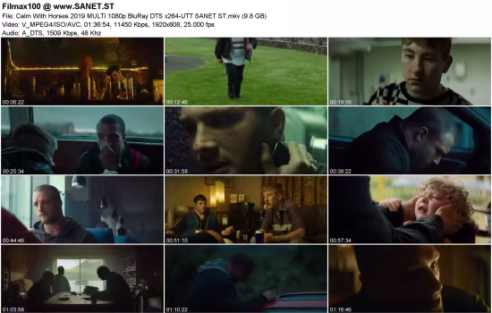 Calm With Horses 2019 MULTi 1080p BluRay DTS x264-UTT
