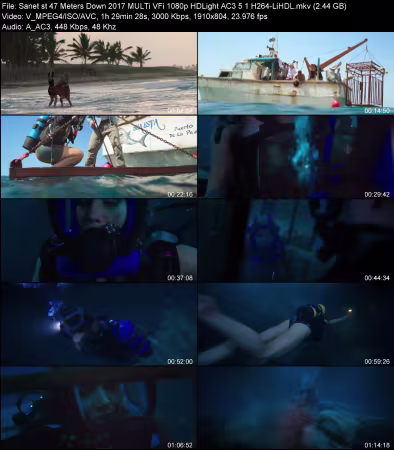 47 Meters Down 2017 MULTi VFi 1080p HDLight AC3 5.1 H264-LiHDL
