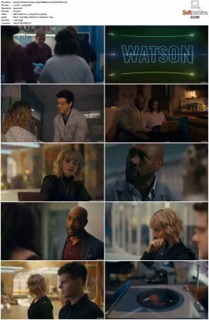 Watson S02 1080p WEBRip x265-KONTRAST