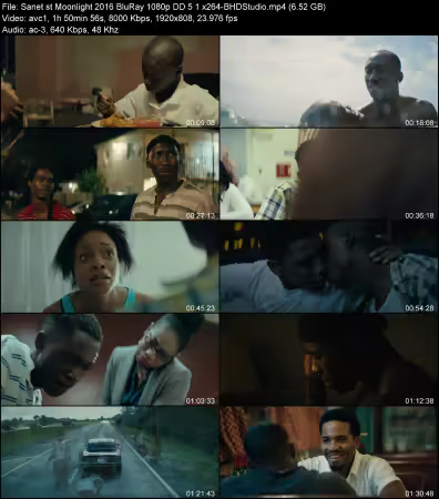 Moonlight 2016 BluRay 1080p DD 5.1 x264-BHDStudio