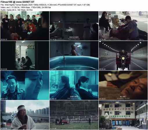 Wild Nights Tamed Beasts 2025 1080p WEB-DL H 264 AAC-PTerWEB
