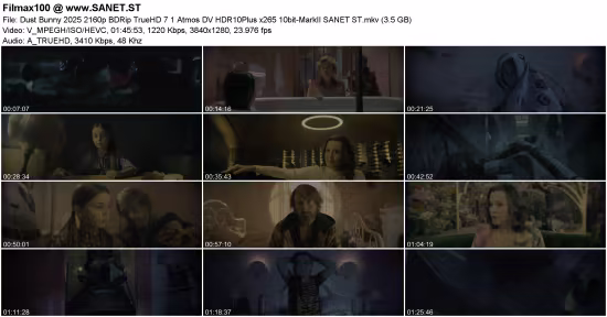 Dust Bunny 2025 2160p BDRip TrueHD 7.1 Atmos DV HDR10Plus x265 10bit-MarkII