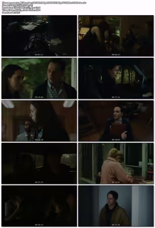Widows Bay S01E05 1080p DS4K WEBRip DV HDR x265-Huda
