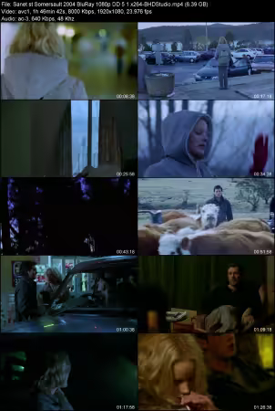 Somersault 2004 BluRay 1080p DD 5.1 x264-BHDStudio
