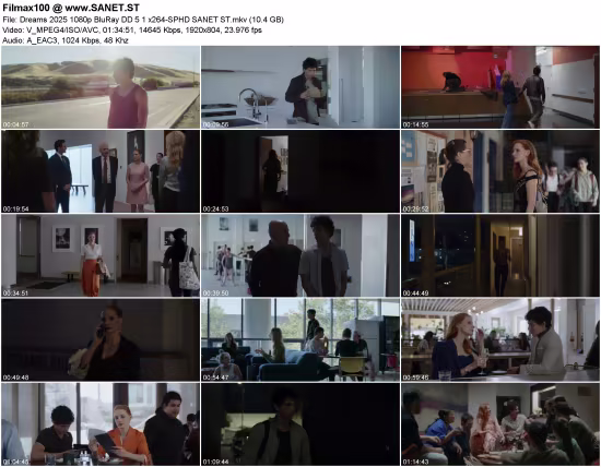 Dreams 2025 1080p BluRay DD5.1 x264-SPHD
