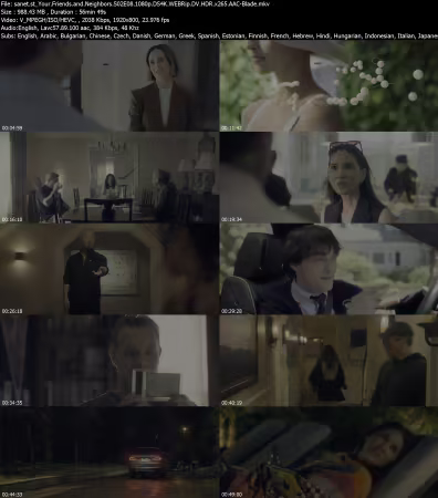 Your Friends and Neighbors S02E08 1080p DS4K WEBRip DV HDR x265 AAC-Blade