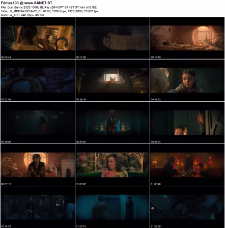 Dust Bunny 2025 1080p BluRay x264-OFT