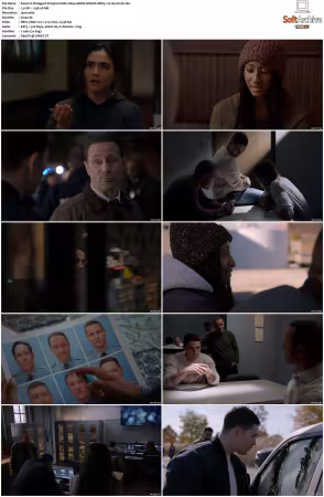 Chicago P D S13 1080p WEBRip 10Bit DDP5.1 HEVC-d3g