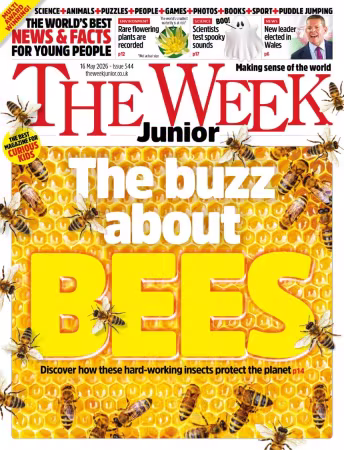The Week Junior - Issue 544, 16 May 2026