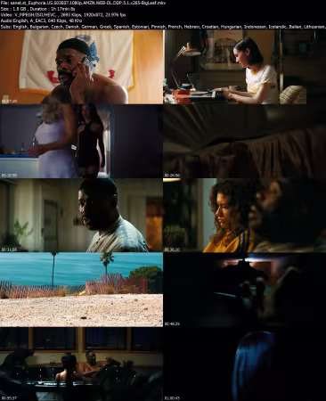 Euphoria US S03E07 1080p AMZN WEB-DL DDP 5 1 x265-BigLeaf