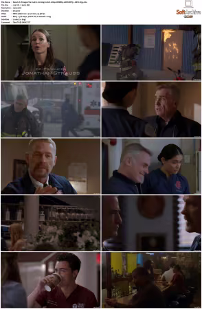 Chicago Fire S14 1080p WEBRip 10Bit DDP5.1 HEVC-d3g