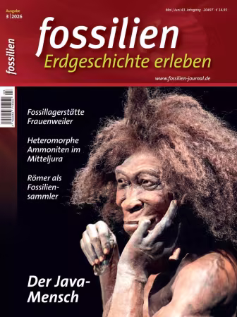 FOSSILIEN - Erdgeschichte erleben - Nr.03 2026