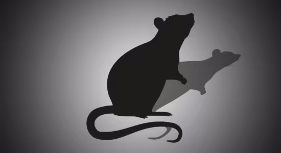 FAB - Mutant Rat Mouse (4.27 and 5.0 – 5.7)