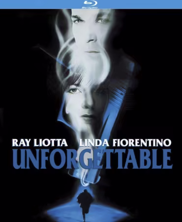 Unforgettable 1996 iNTERNAL BDRip x264-YAMG
