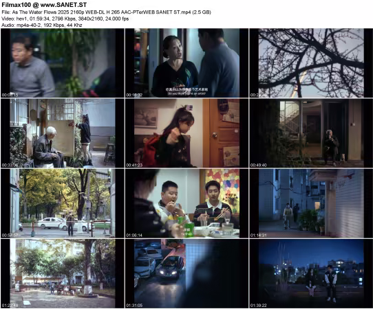 As The Water Flows 2025 2160p WEB-DL H265 AAC-PTerWEB