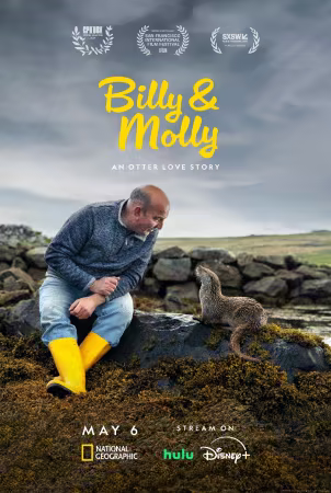 Billy and Molly An Otter Love Story 2024 2160p DSNP WEB-DL DDP5 1 DV HDR H 265-FLUX