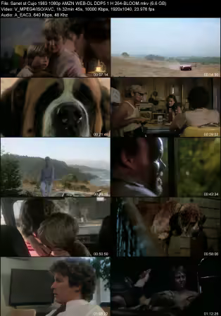 Cujo 1983 1080p AMZN WEB-DL DDP 5.1 H264-BLOOM