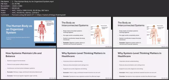 Human Anatomy For Medical Coding, Billing &amp; Healthcare Rcm