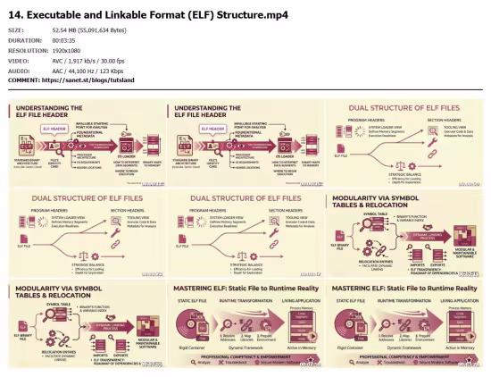 Reverse Engineering Mastery: Assembly to Malware Analysis