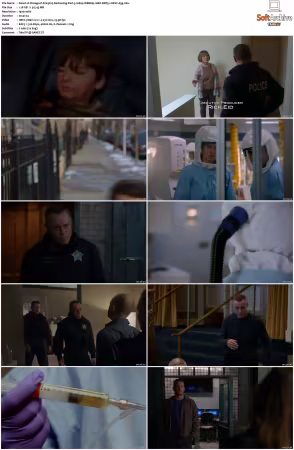 Chicago P D S13 1080p WEBRip 10Bit DDP5.1 HEVC-d3g