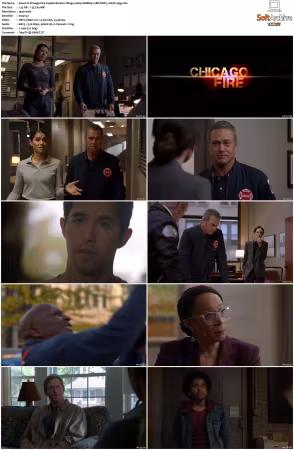 Chicago Fire S14 1080p WEBRip 10Bit DDP5.1 HEVC-d3g